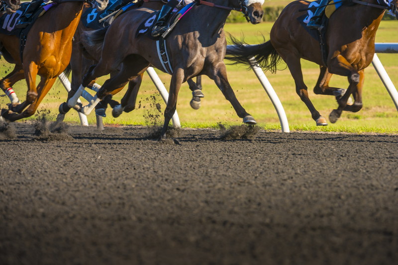 競馬 騎手