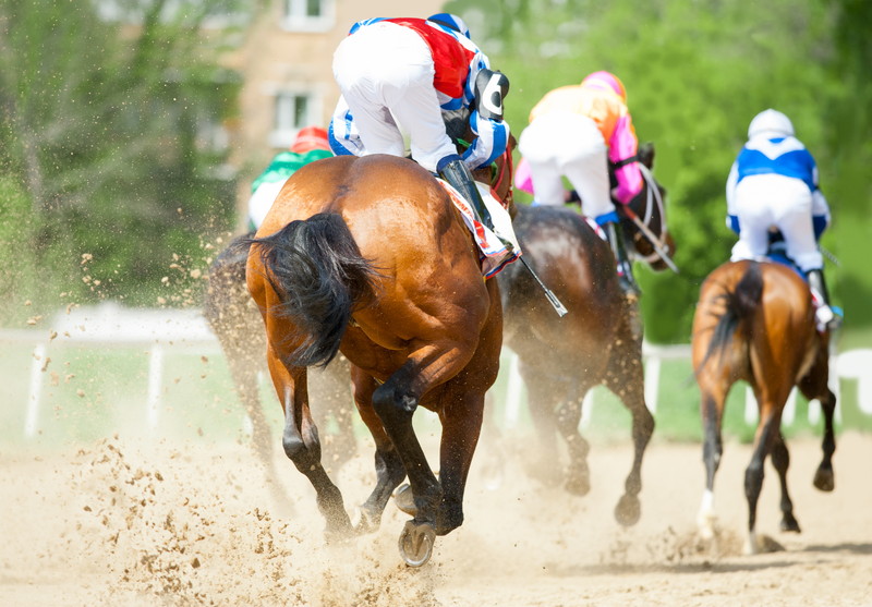 ,競馬 武豊 ディープインパクト