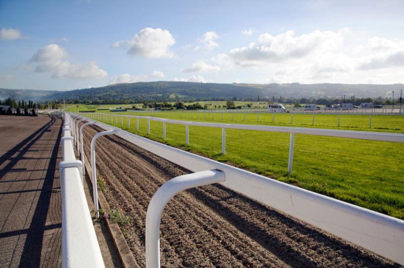 競馬場の特徴