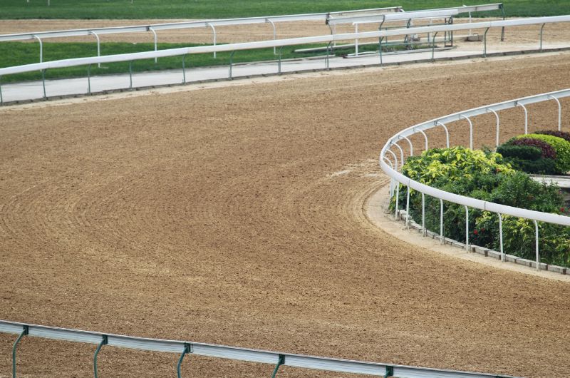 競馬 馬場状態